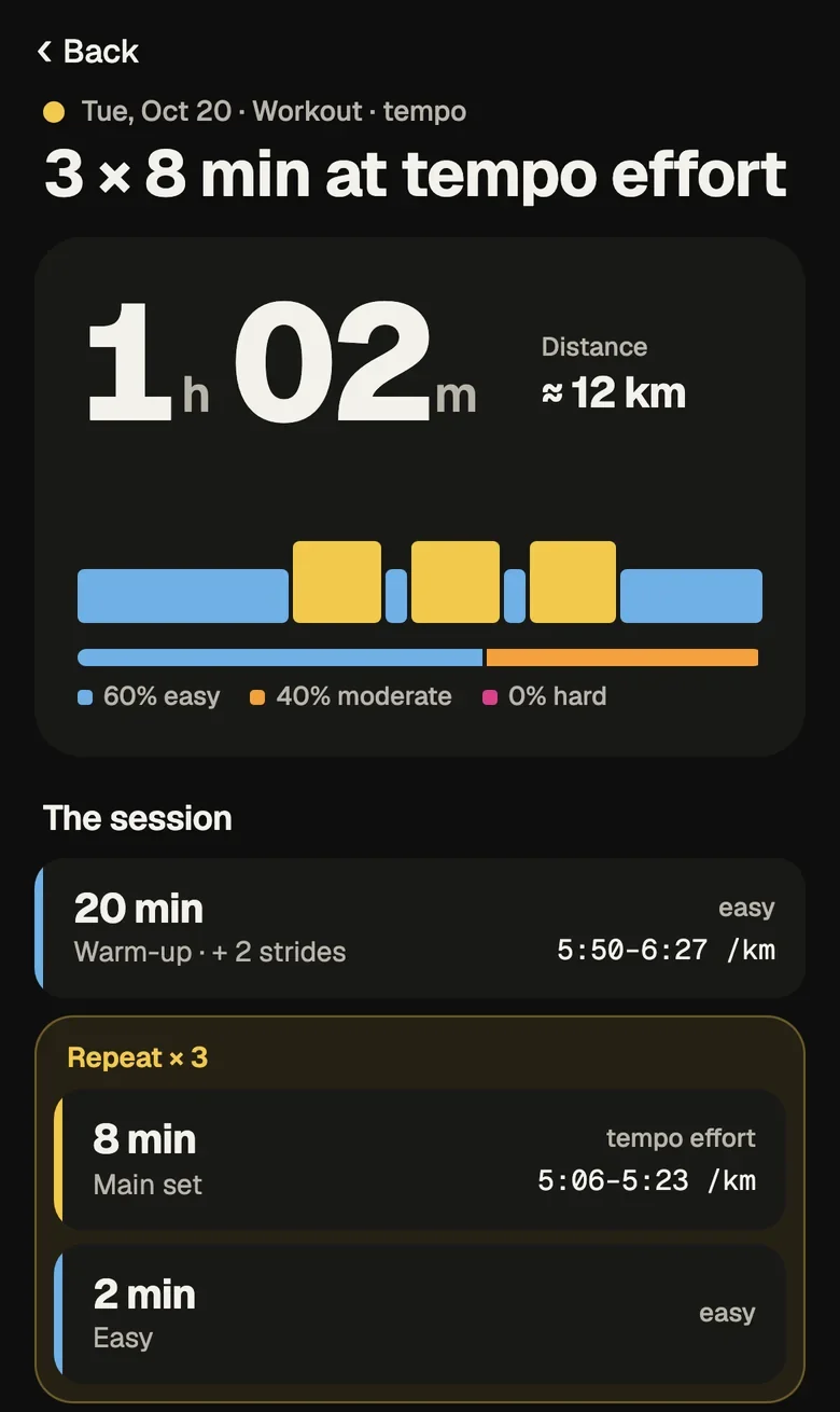 Taper session screen: 1 hour 2 minutes, about 12 km, the effort profile, and block cards with pace ranges, the main set grouped as a repeat of three.